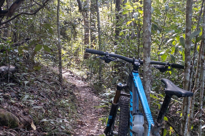 bike in bushland