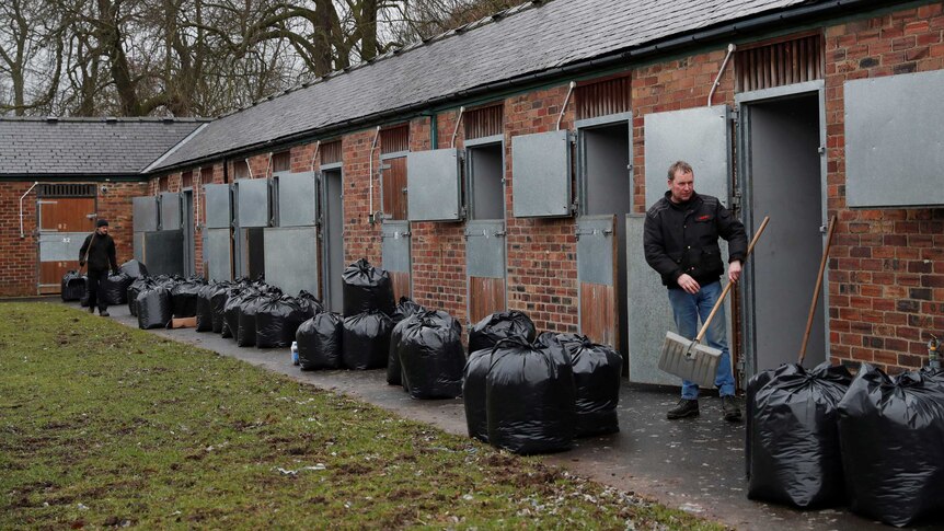 Workers with rakes clean up stables with multiple black plastic bags in the foreground.