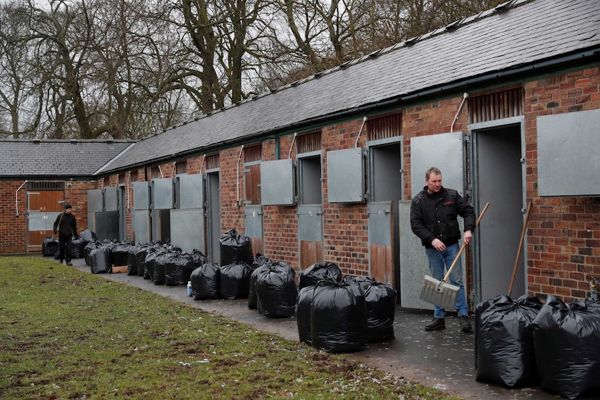 Workers with rakes clean up stables with multiple black plastic bags in the foreground.