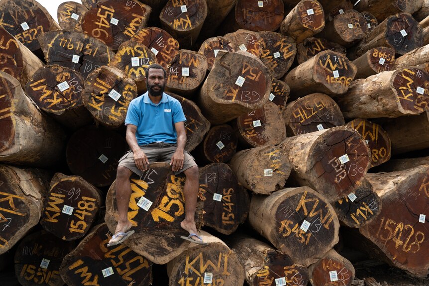 A man sits on logs.