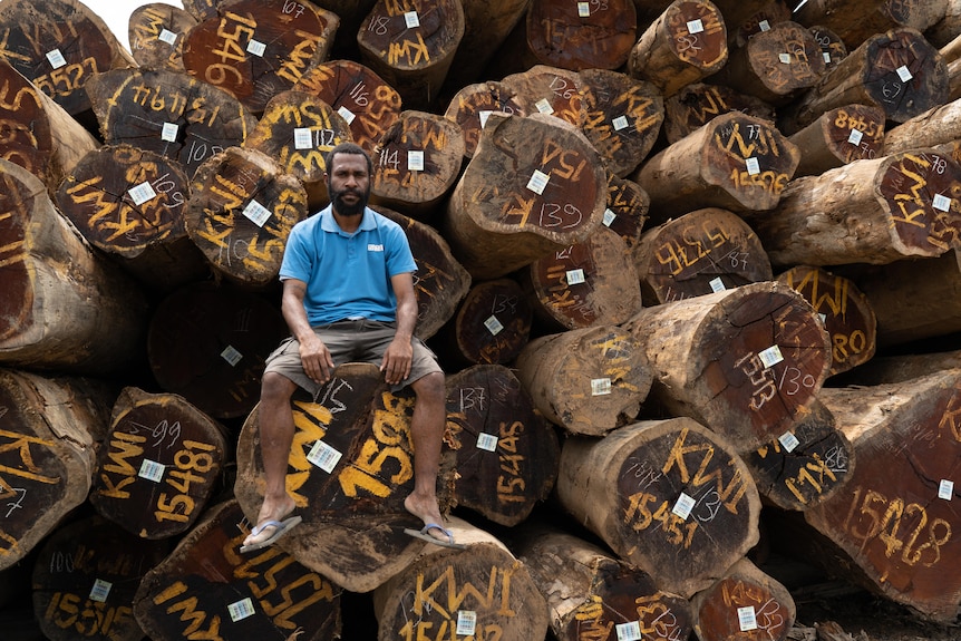 A man sits on logs.