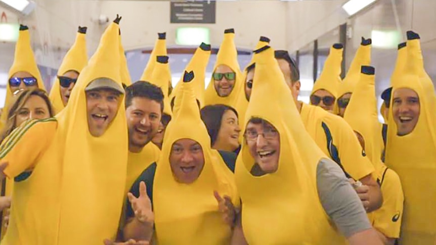 Cricket fans dressed as bananas.