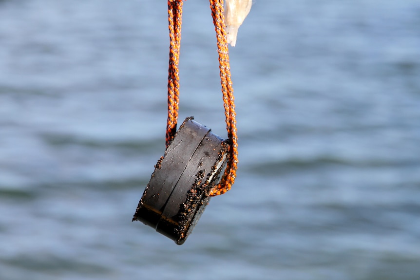 A magnet hangs on a rope, blue sea in the background.