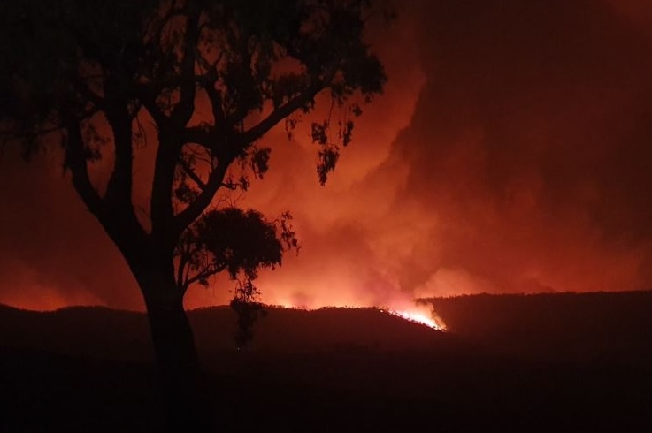 A photograph taken at night shows a reddish-orange glow as a bushfire burns on the horizon.