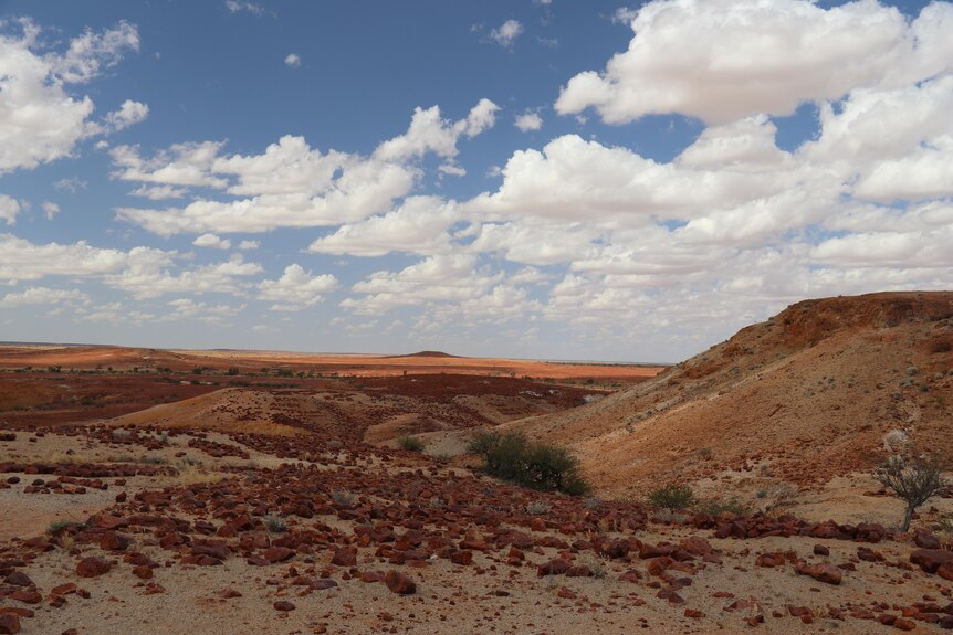 mountainess, red dirt country is pebbled with small red rocks and shows minimal grass