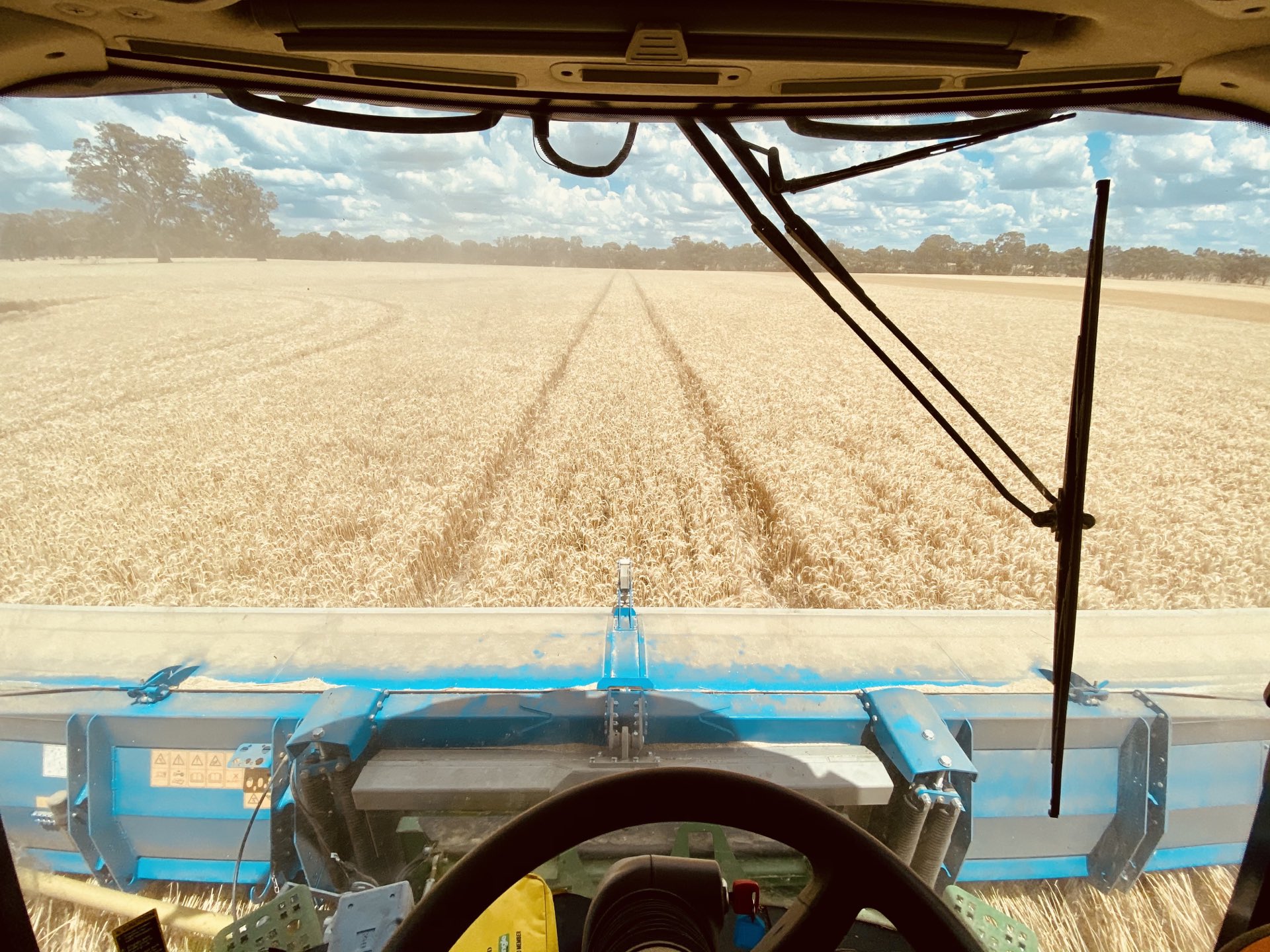 Machine harvesting crop