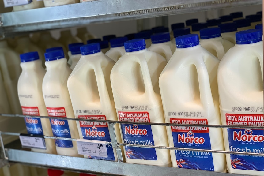 Bottles of milk in a fridge