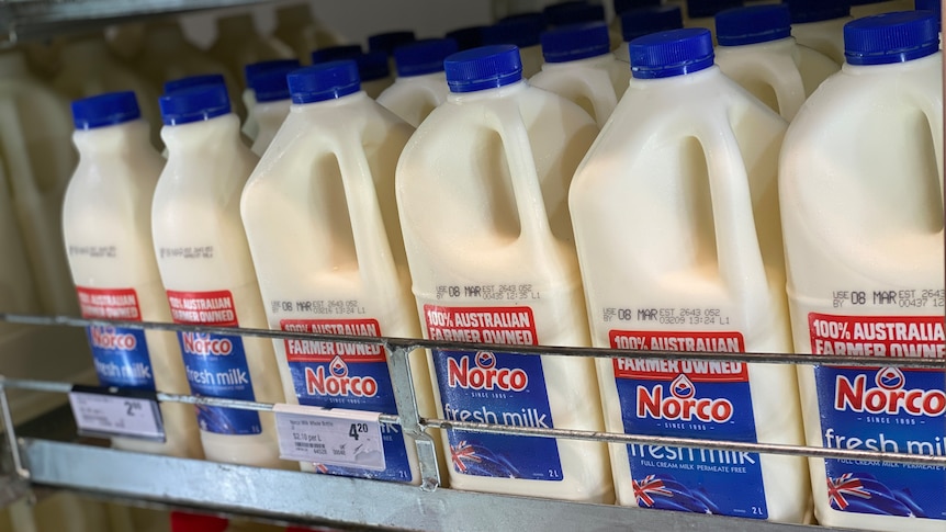 Bottles of milk in a fridge