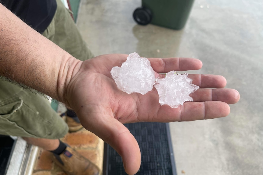 Two large pieces of hail in a hand