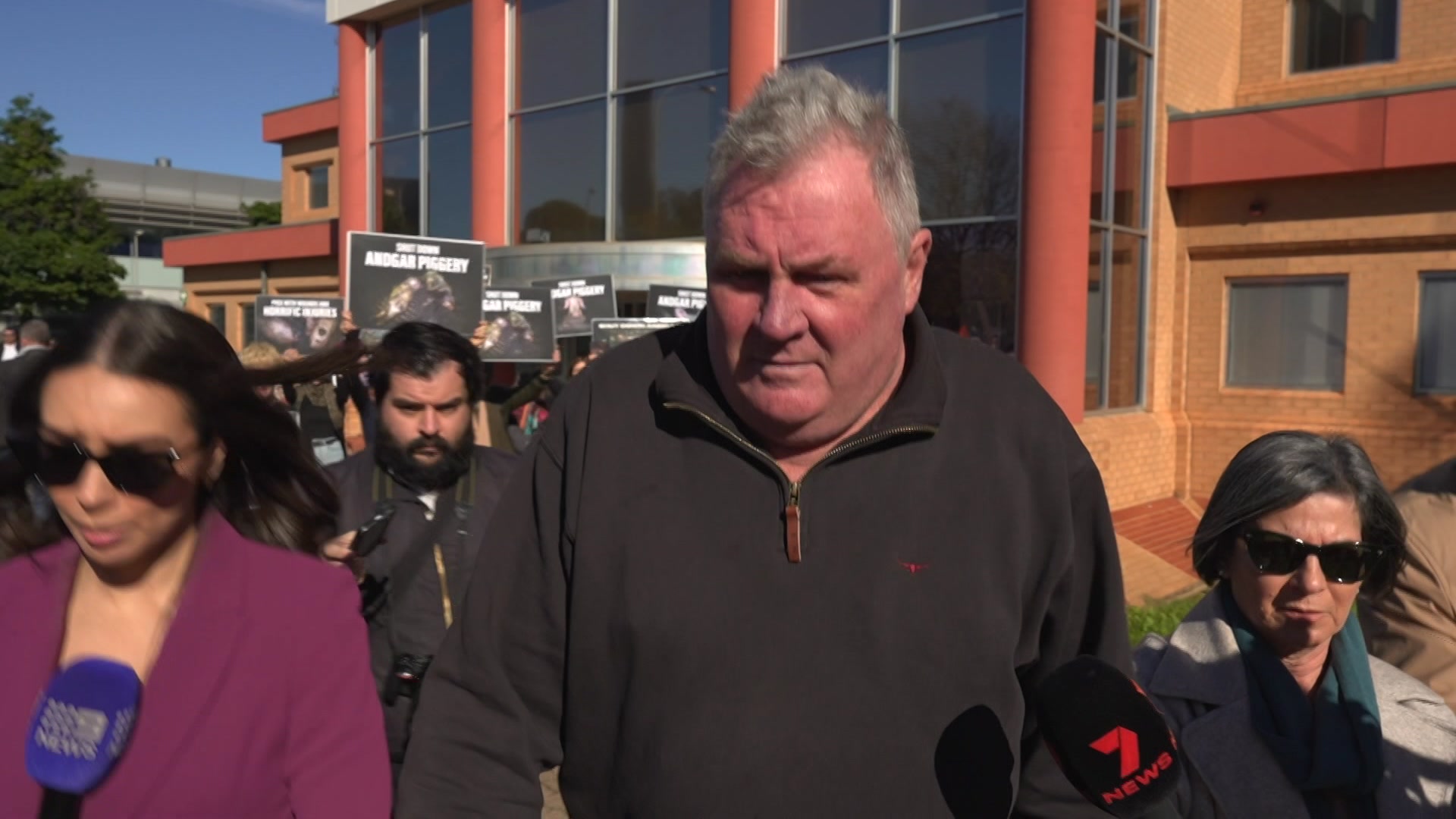 'Faeces, urine and dirt': Piggery owners on animal cruelty charges