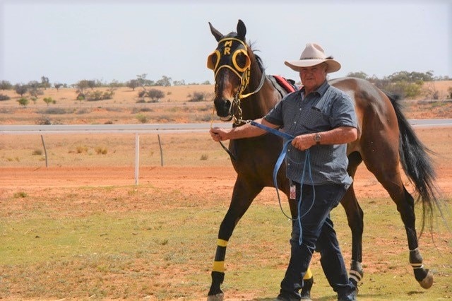 Menindee horse trainer Wayne Marsden leads the horse, Late Return, at Pooncarie Races