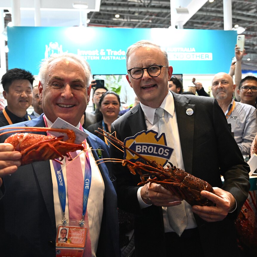 Don Farrell and Anthony Albanese wearing suits and holding lobsters at a trade event.