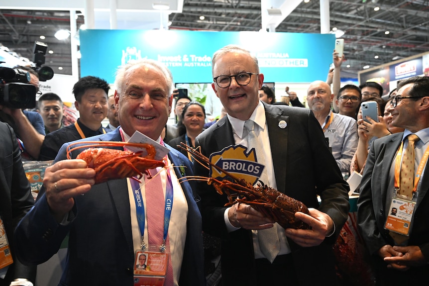 Don Farrell and Anthony Albanese wearing suits and holding lobsters at a trade event.