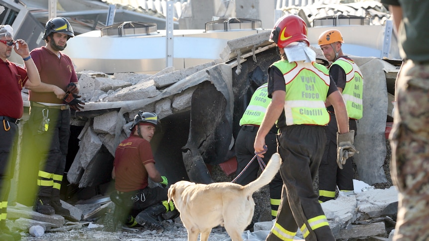 Rescuers search rubble for survivors