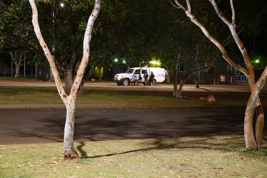Children surround a police car at night 
