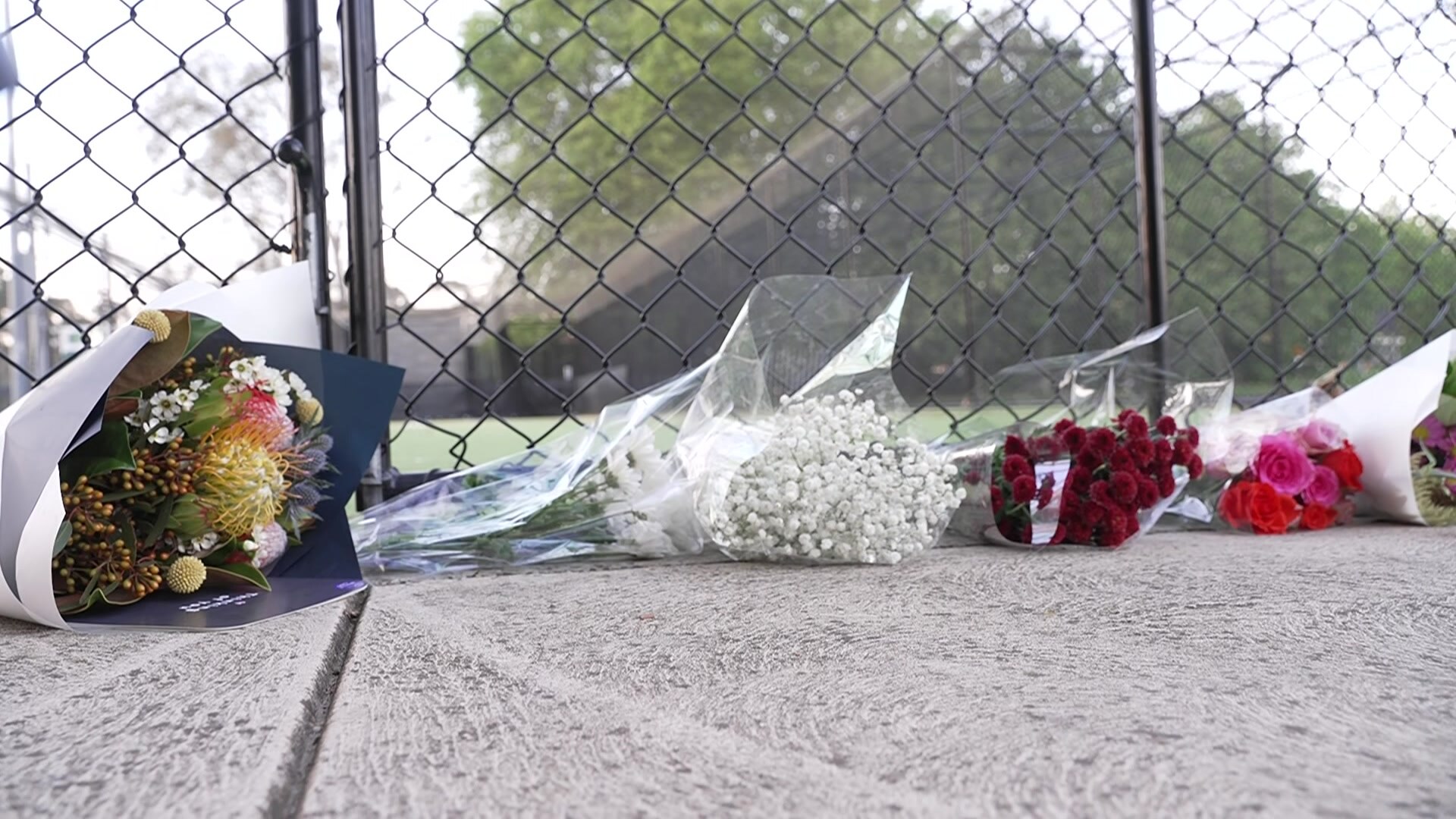 Flowers on the ground near cricket nets.