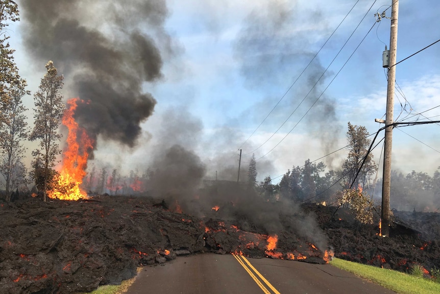 Dense black lava moves through the trees and onto the road in a subdivison.