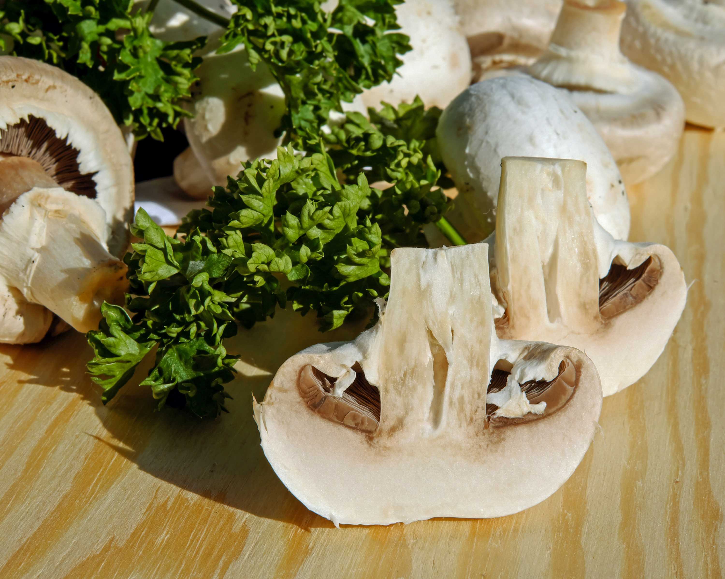 Recipe: Mushroom pot pie with a creamy kohlrabi &amp; kale mash - ABC Everyday