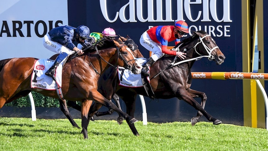 A racehorse comes past the winning post in a big race, with two other horses close behind.