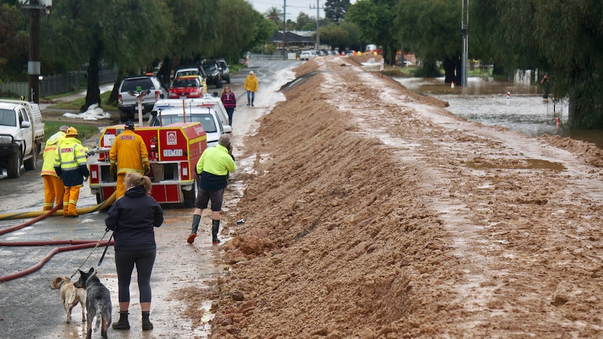 a large flood levee made out of dirt with people on one side of it.