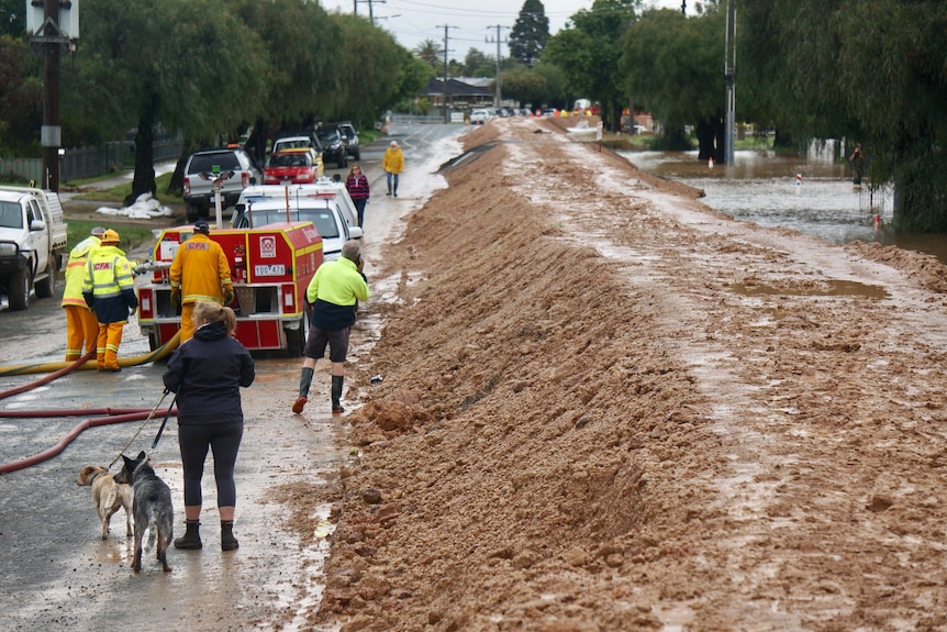 a large flood levee made out of dirt with people on one side of it.