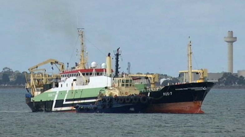 Factory trawler Geelong Star