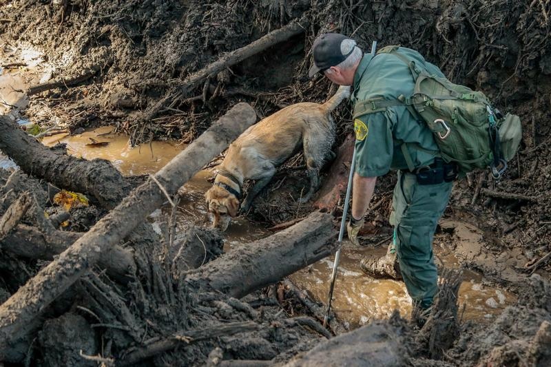 A search and rescue dog is guided through mud on properties