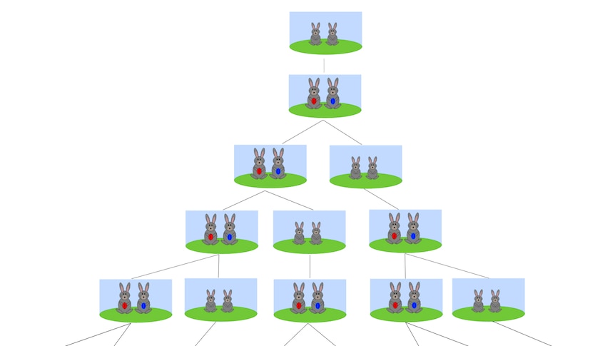 The number of rabbits form the Fibonacci sequence.