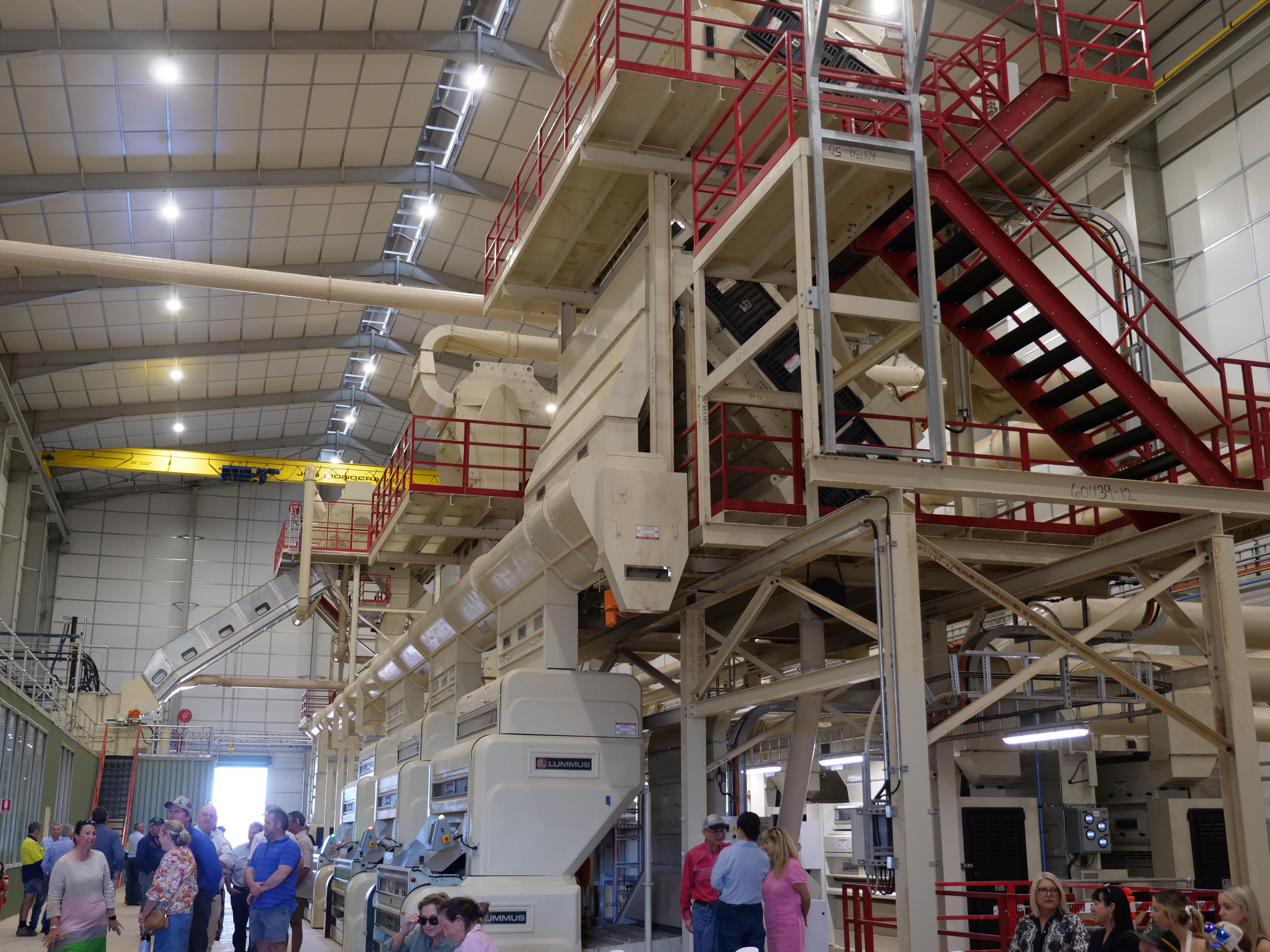 El interior de una ginebra de algodón