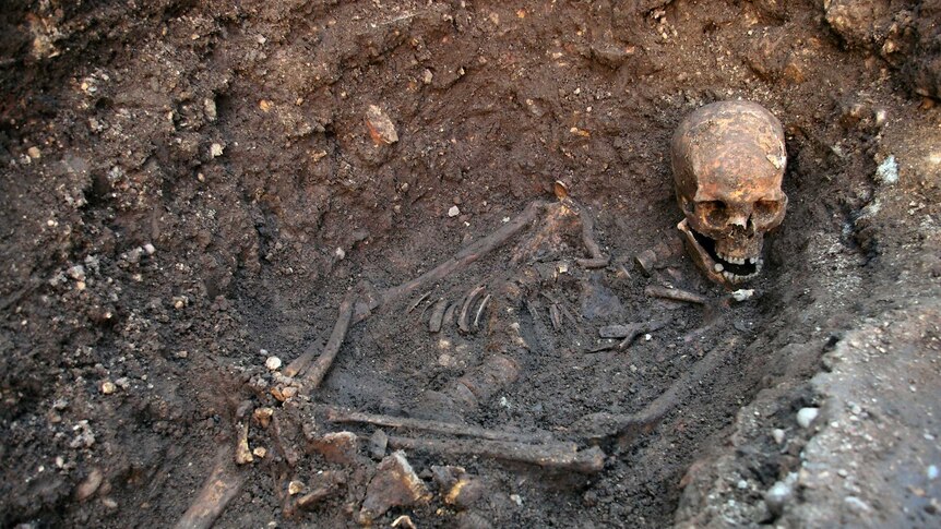 King Richard III in his grave