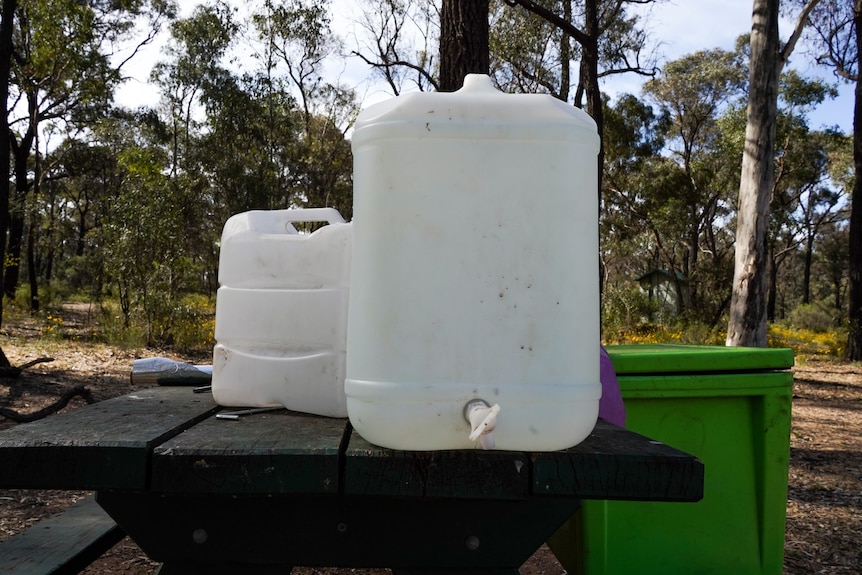 Two large plastic containers filled with water. The containers are on the top of a wooden picnic table, surrounded by bushland.