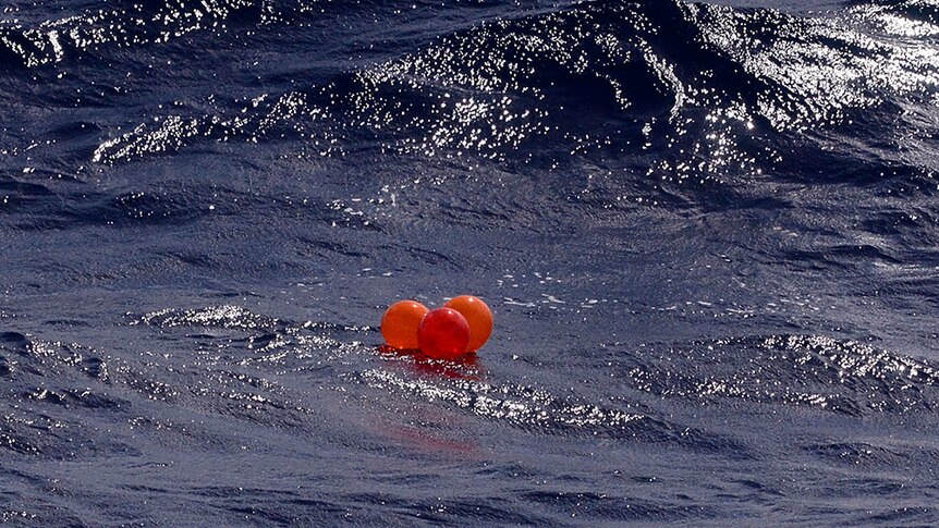 Balloons float in waters off New South Wales