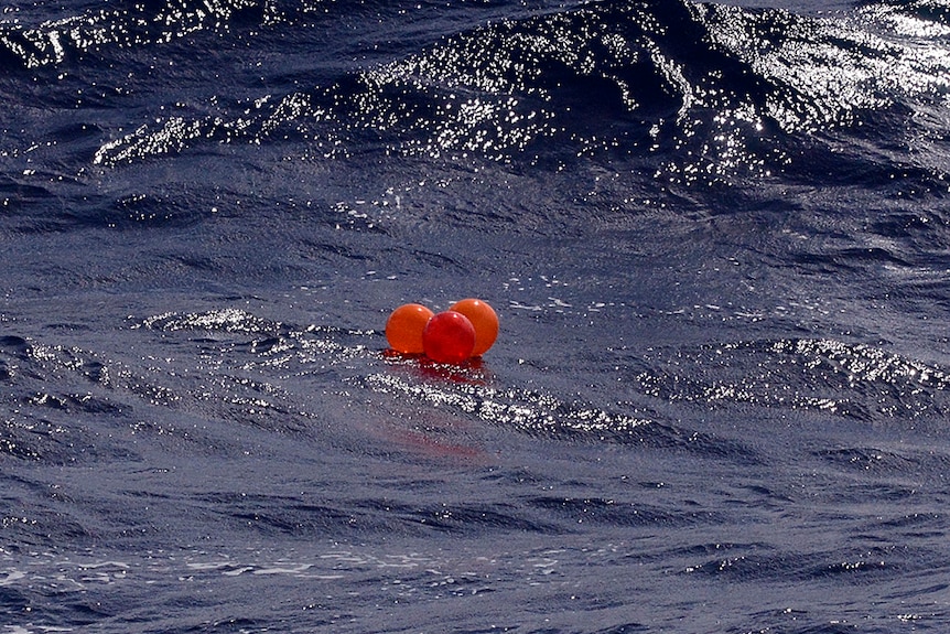 Balloons float in waters off New South Wales