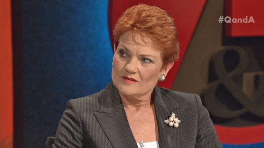 Sam Dastyari questions Pauline Hanson about her policies