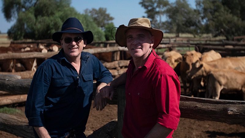 Two men, one wearing a red shirt, one wearing blue, lean on the wooden fence of a cattle yard.