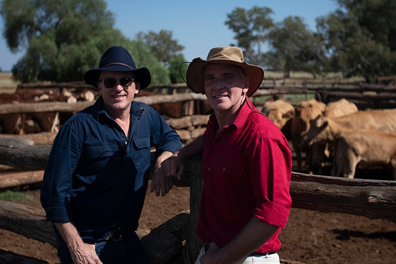 Two men, one wearing a red shirt, one wearing blue, lean on the wooden fence of a cattle yard.