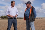 Two men standing in a paddock