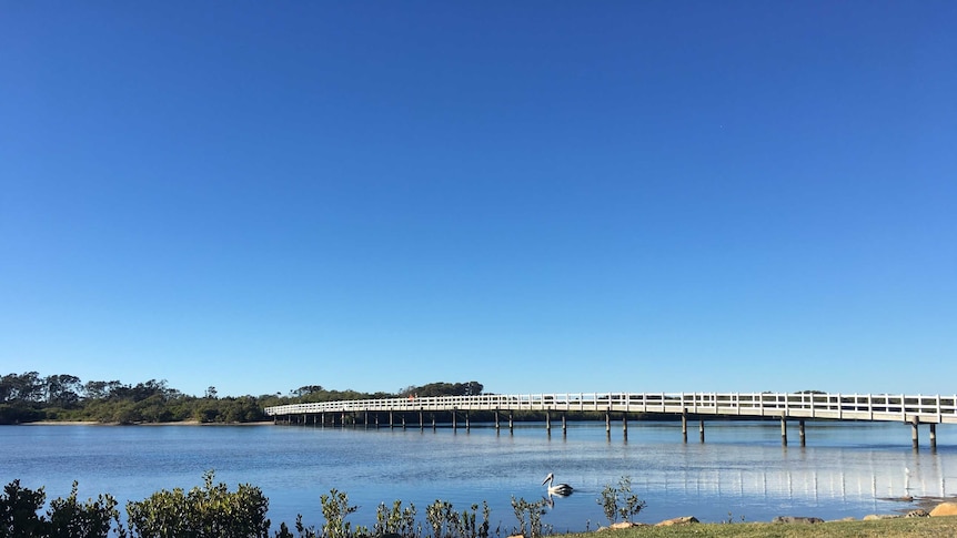 A bridge over a coastal inlet with pelican floating in the water.