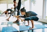 Row of women in sportswear doing yoga poses.