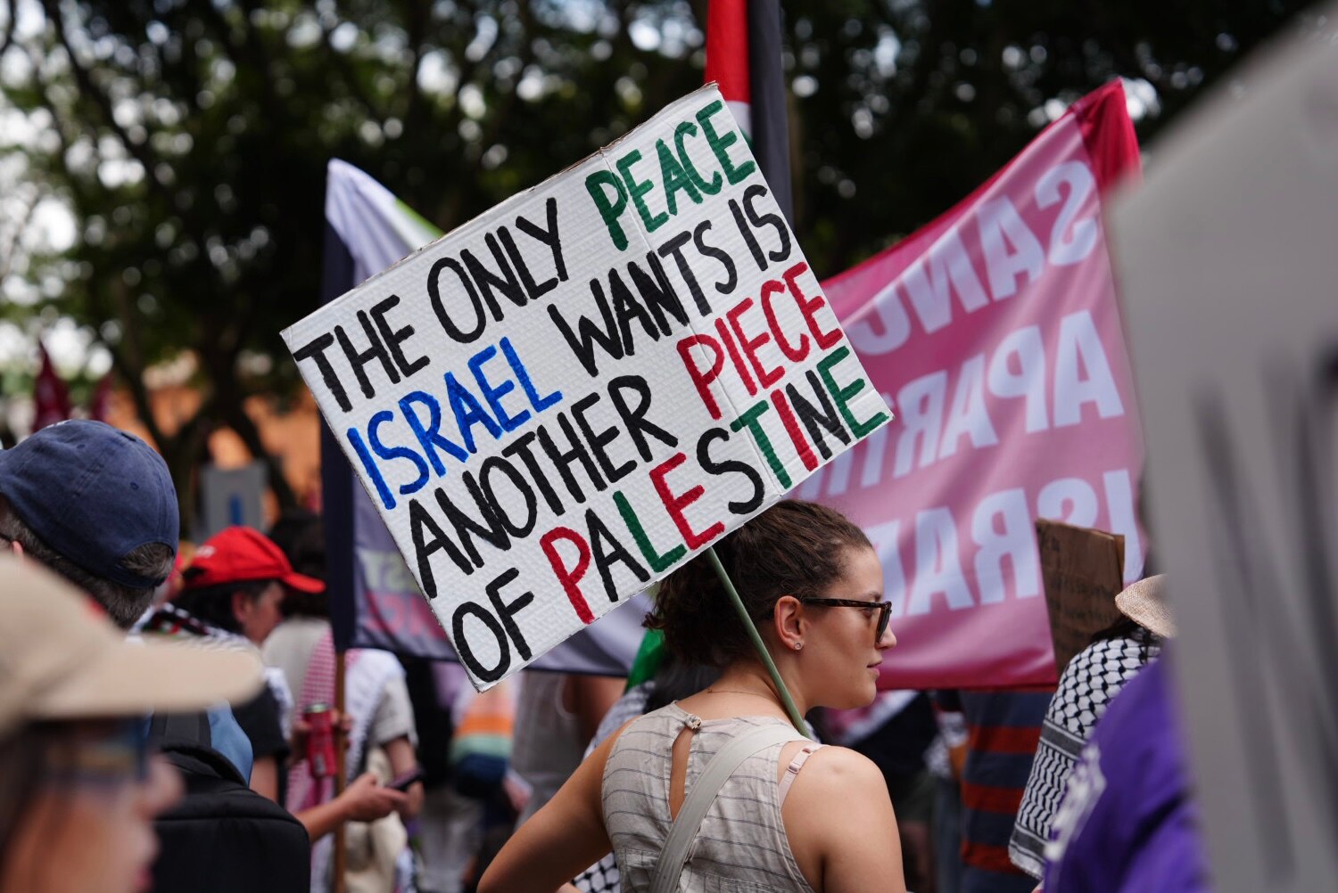 Pro-Palestinian protesters gather in Sydney's Hyde Park with flags and signs