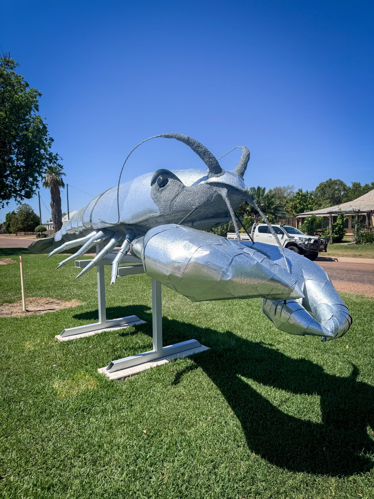Outback giant yabby Australia's latest 'big thing'