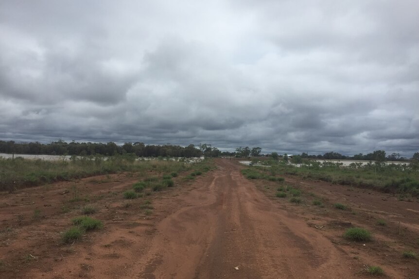 A paddock with moist soil, surrounded by grey clouds