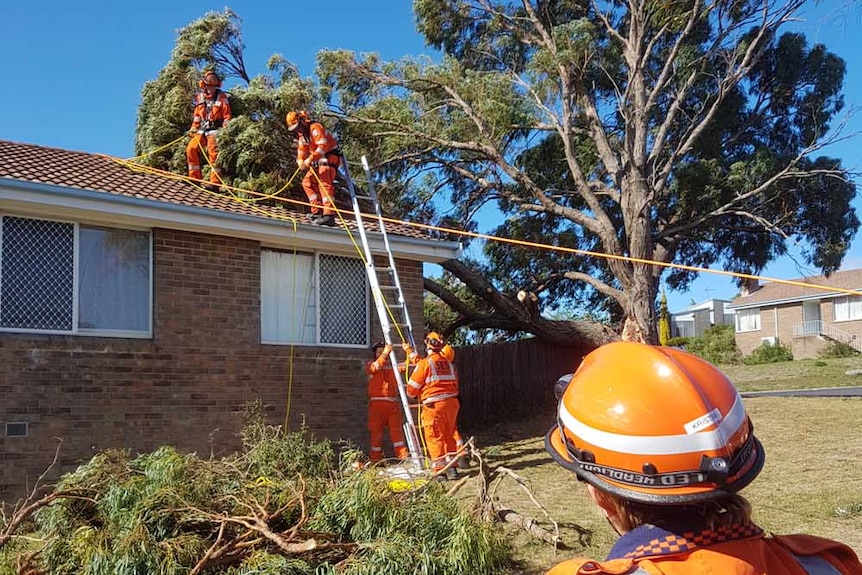 SES workers fix a roof in Tasmania