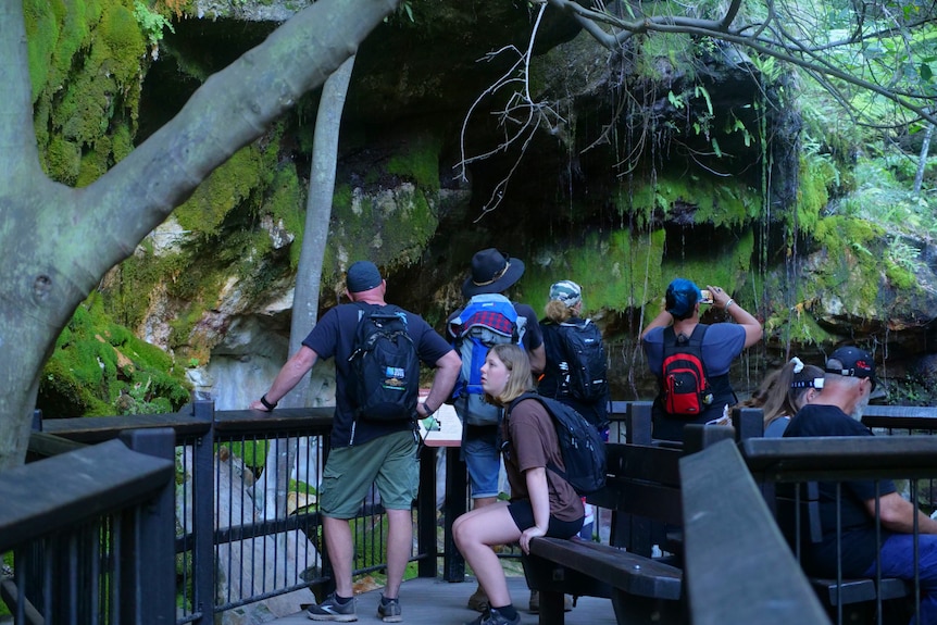 People on a boardwalk looking at rocks with moss all over them, trees.