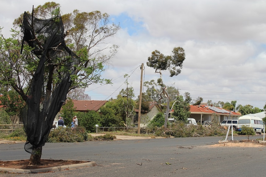 Trees down, netting in tree, roofs damaged, powerline hanging in street.