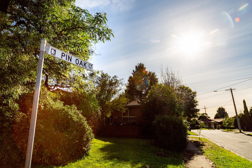 Pin Oak Court sign