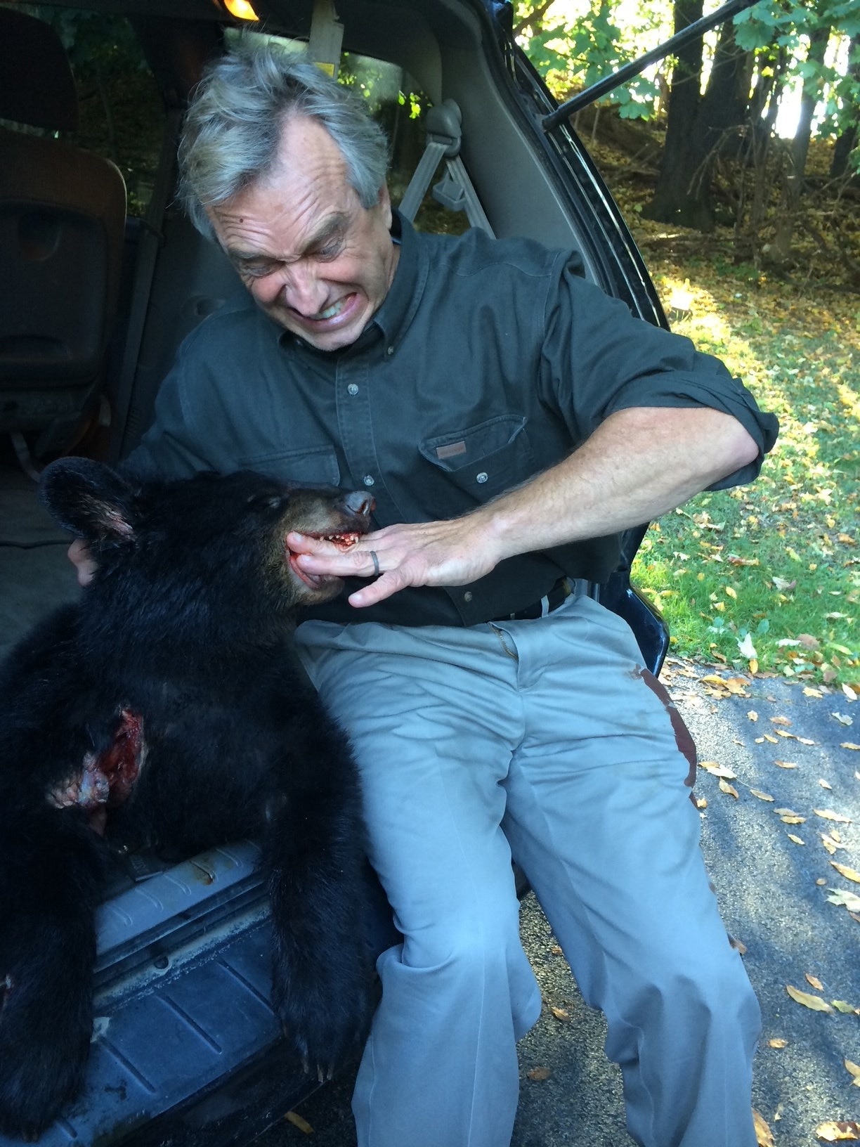 RFJ Jr holds his hand in the mouth of a dead bear while seated in the trunk of a car.