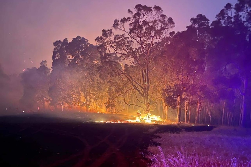 A fire burns near a treeline on a property