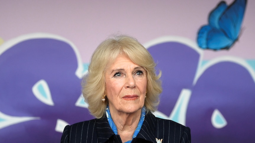 Camilla looks overhead, standing in front of a wall painted in pastel colours