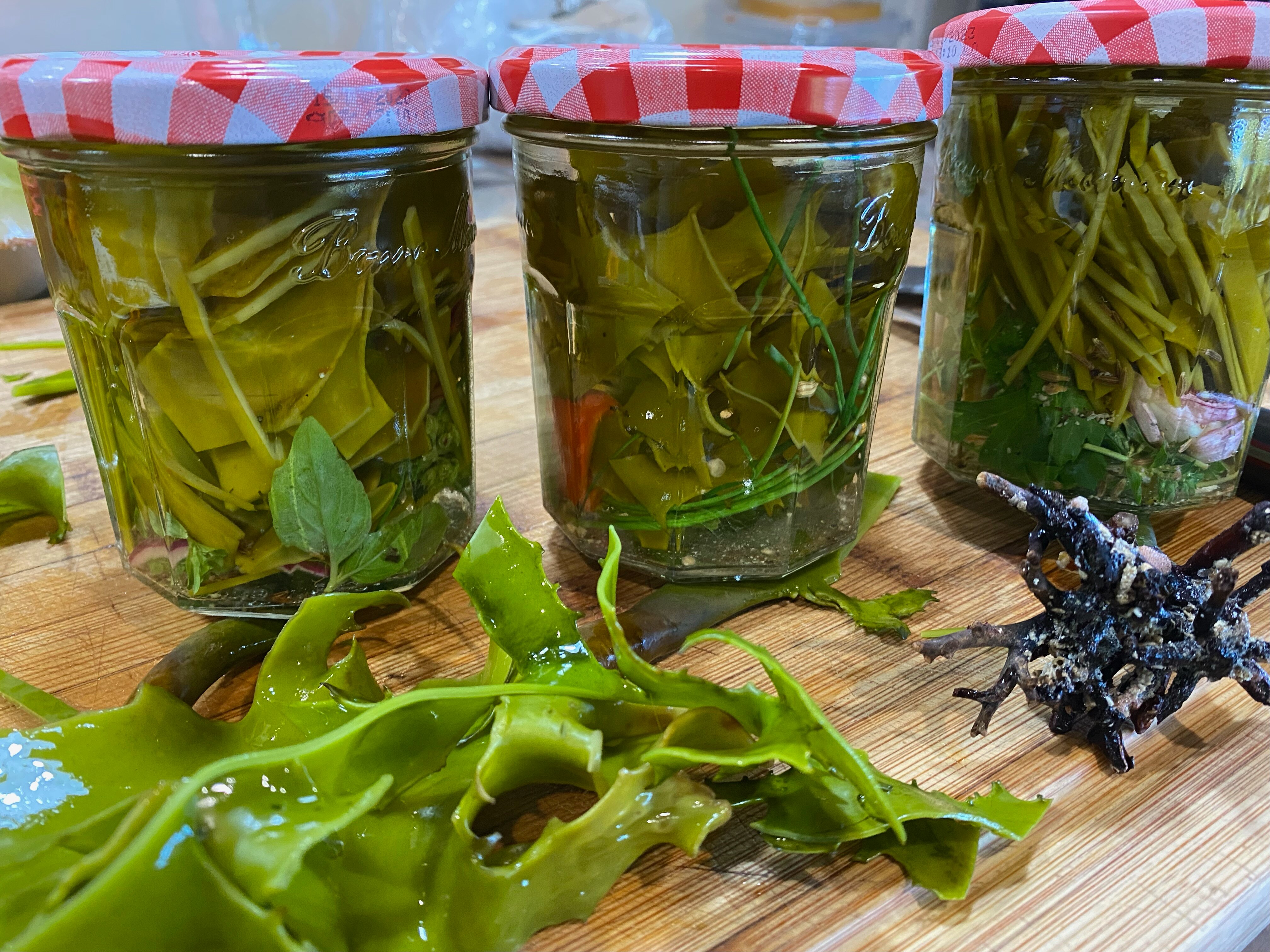 Can you eat seaweed from the beach? Let us count the ways ABC News